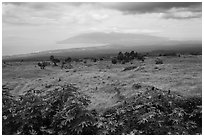 West Maui seen from highlands. Maui, Hawaii, USA (black and white)