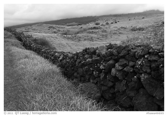 Long lava rock wall and pastures. Maui, Hawaii, USA (black and white)