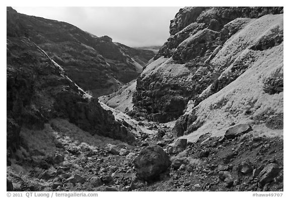 Deeply eroded canyon. Maui, Hawaii, USA