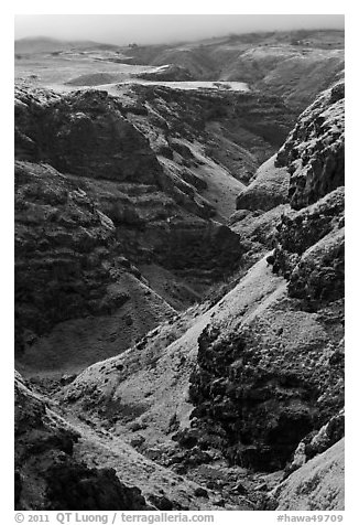 Canyon through volcanic rock. Maui, Hawaii, USA (black and white)