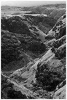 Canyon through volcanic rock. Maui, Hawaii, USA (black and white)