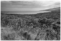 Mamalu Bay seen from verdant hills. Maui, Hawaii, USA (black and white)