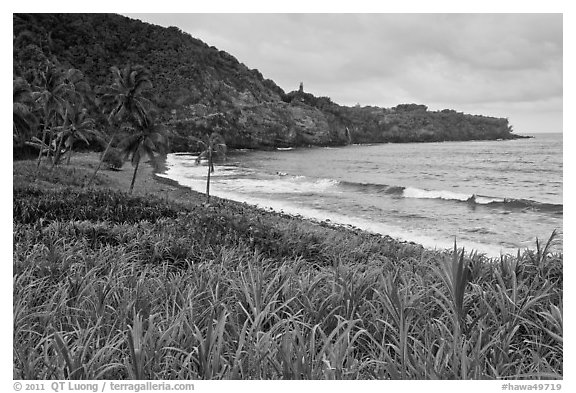 Beach, Opelu Falls dropping into bay. Maui, Hawaii, USA