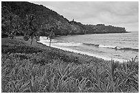 Beach, Opelu Falls dropping into bay. Maui, Hawaii, USA (black and white)