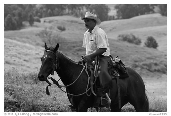 Paniolo (Hawaiian cowboy). Maui, Hawaii, USA (black and white)