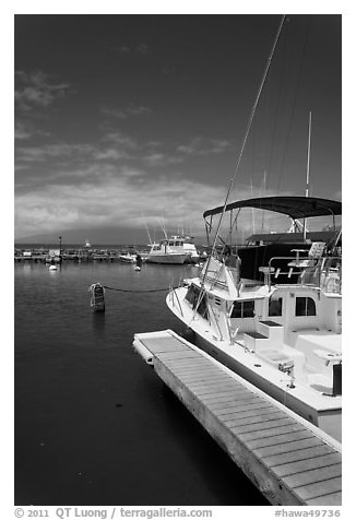 Yachts in harbor. Lahaina, Maui, Hawaii, USA (black and white)