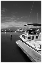 Yachts in harbor. Lahaina, Maui, Hawaii, USA (black and white)