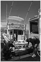 Men cutting fish caught in sport-fishing expedition. Lahaina, Maui, Hawaii, USA ( black and white)