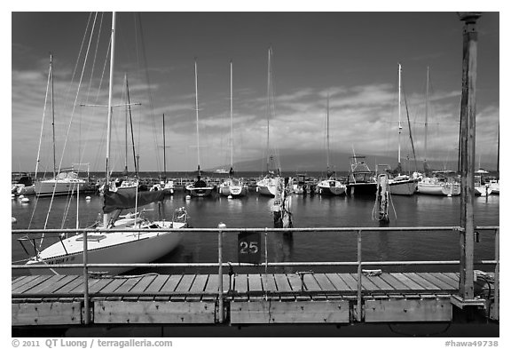 Marina and Lanai Isand. Lahaina, Maui, Hawaii, USA (black and white)