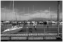 Marina and Lanai Isand. Lahaina, Maui, Hawaii, USA (black and white)