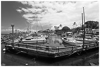 Lahaina harbor. Lahaina, Maui, Hawaii, USA (black and white)