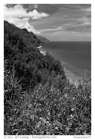 Scalloped Na Pali cliffs along coast. Kauai island, Hawaii, USA