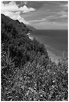 Scalloped Na Pali cliffs along coast. Kauai island, Hawaii, USA (black and white)