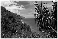 Jagged green cliffs plunging into blue waters, Na Pali coast. Kauai island, Hawaii, USA (black and white)