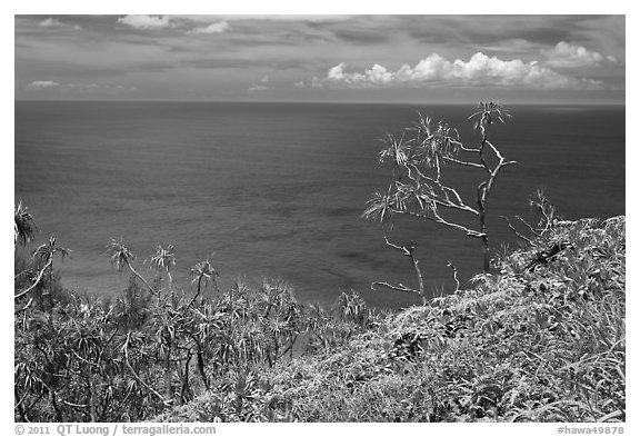 Ocean view from Kalalau trail. Kauai island, Hawaii, USA