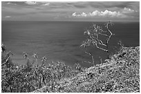 Ocean view from Kalalau trail. Kauai island, Hawaii, USA ( black and white)