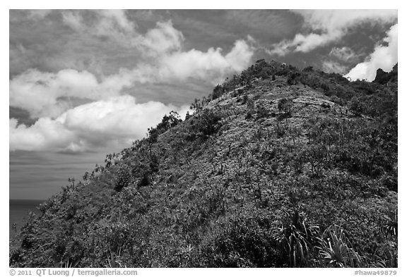 Tropical hill and clouds, Na Pali coast. Kauai island, Hawaii, USA (black and white)