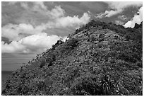 Tropical hill and clouds, Na Pali coast. Kauai island, Hawaii, USA ( black and white)