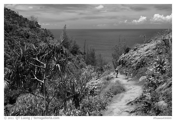 Hiking Kalalau trail. Kauai island, Hawaii, USA (black and white)