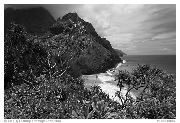 Hanakapiai Beach and cliffs from above. Kauai island, Hawaii, USA (black and white)