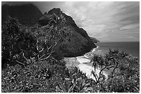 Hanakapiai Beach and cliffs from above. Kauai island, Hawaii, USA (black and white)