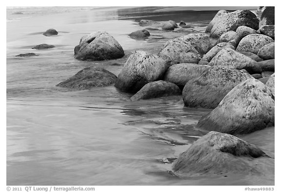 Mossy rocks on Hanakapiai Beach. Kauai island, Hawaii, USA (black and white)