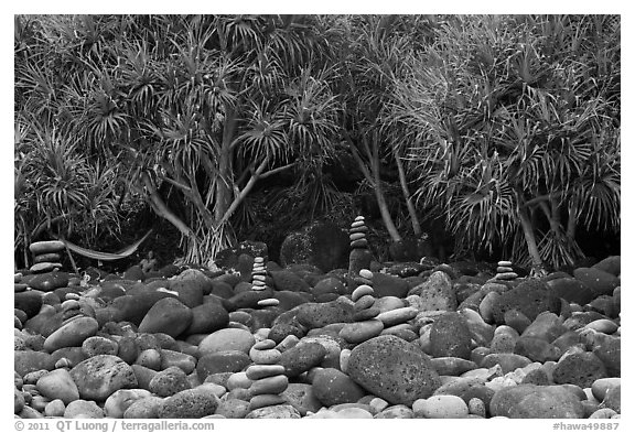 Cairns, Pandanus trees, and hammock, Hanakapiai Beach. Kauai island, Hawaii, USA