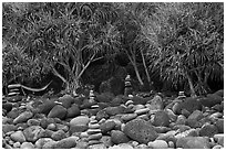 Cairns, Pandanus trees, and hammock, Hanakapiai Beach. Kauai island, Hawaii, USA (black and white)