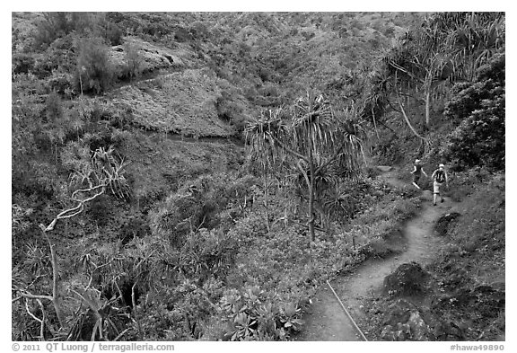 Kalalau trail. Kauai island, Hawaii, USA