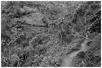 Kalalau trail. Kauai island, Hawaii, USA ( black and white)