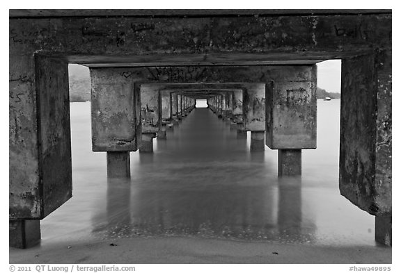 Below Hanalei Pier, dawn. Kauai island, Hawaii, USA (black and white)