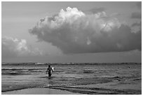 Surfer heading out in ocean. Kauai island, Hawaii, USA (black and white)