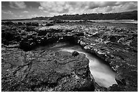 Blowhole,  Mokolea lava bench. Kauai island, Hawaii, USA (black and white)