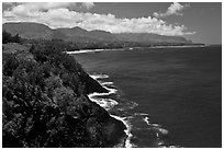 Coastline from Kilauea Point. Kauai island, Hawaii, USA ( black and white)