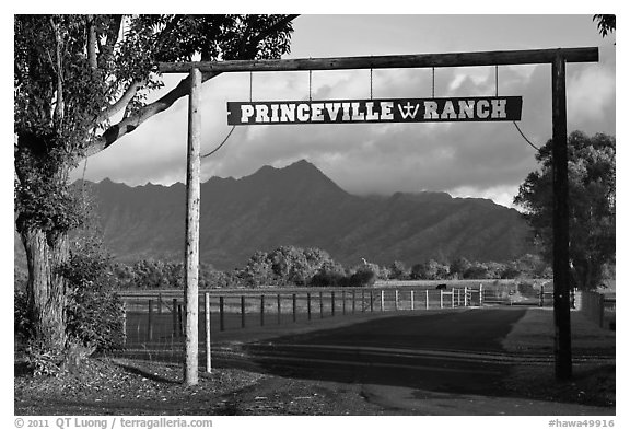 Princeville Ranch gate. Kauai island, Hawaii, USA (black and white)