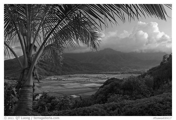 Hanalei Valley from above, sunset. Kauai island, Hawaii, USA