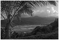 Hanalei Valley from above, sunset. Kauai island, Hawaii, USA (black and white)