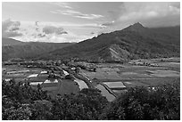 Hanalei Valley and taro paddies from above. Kauai island, Hawaii, USA (black and white)