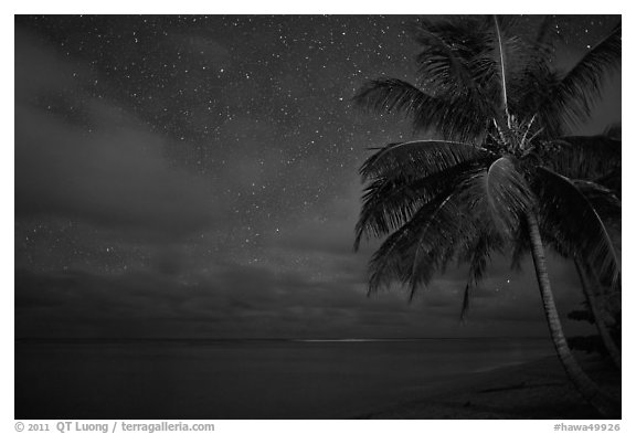 Palm tree, stars and ocean. Kauai island, Hawaii, USA (black and white)