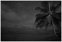 Palm tree, stars and ocean. Kauai island, Hawaii, USA ( black and white)