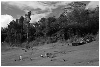 Graves on grassy slope, Hanalei Valley. Kauai island, Hawaii, USA (black and white)