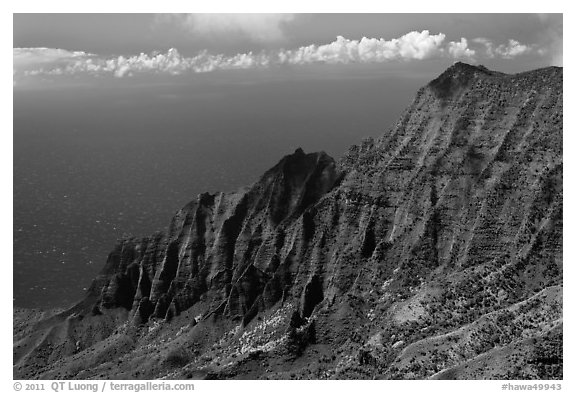 Na Pali Cliffs, seen from Pihea Trail. Kauai island, Hawaii, USA (black and white)