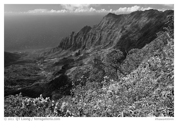 Kalalau Valley and fluted mountains. Kauai island, Hawaii, USA (black and white)