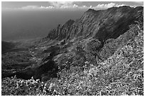 Kalalau Valley and fluted mountains. Kauai island, Hawaii, USA (black and white)