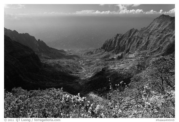 Kalalau Valley and Ocean. Kauai island, Hawaii, USA