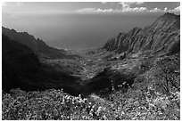 Kalalau Valley and Ocean. Kauai island, Hawaii, USA (black and white)