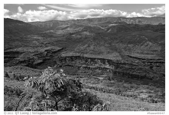 Downriver from Waimea Canyon. Kauai island, Hawaii, USA (black and white)