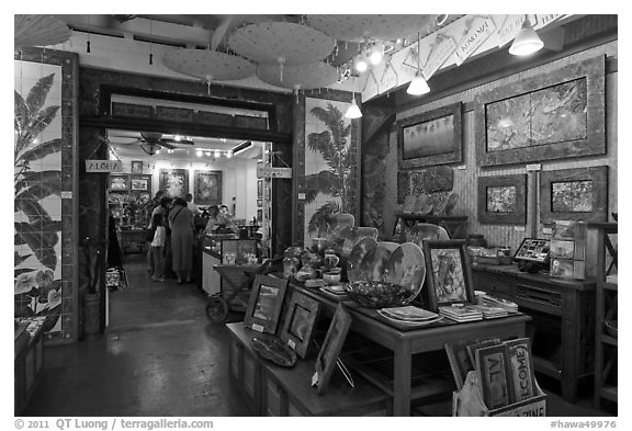 Art gallery, Kilauea. Kauai island, Hawaii, USA (black and white)
