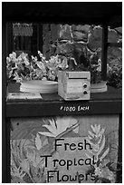Self-serve fresh tropical flowers stand. Kauai island, Hawaii, USA ( black and white)