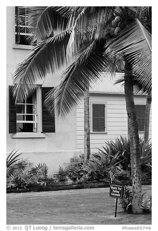 Hulihee Palace detail with coconut tree, Kailua-Kona. Hawaii, USA